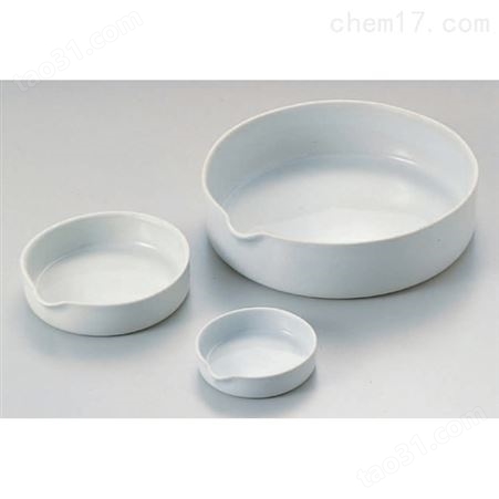 6-563-01陶瓷制蒸发皿 φ60（1个）