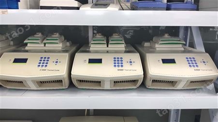 二手伯乐bio-rad PCR仪双模块梯度