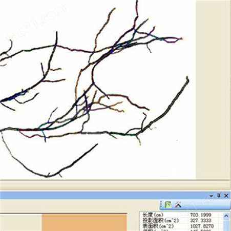 根系分析系统、植物根系分析仪