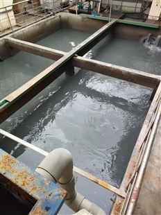 南京化工水处理剂 工业活性污泥 稳点达标