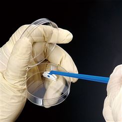 巴罗克BIOLOGIX细胞刮70-1180一次性塑料无菌细胞刮刀
