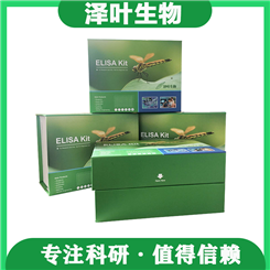 全国销售 Human ELISA Kit（NPTX1）（ZY-E60636H）人ELISA试剂盒