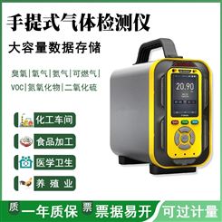 手提式氢气气体检测仪泵吸氢气浓度泄漏探测报警器