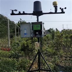 河南自动雨量监测系统