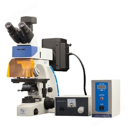 重庆重光COIC DM2000X倒置金相显微镜