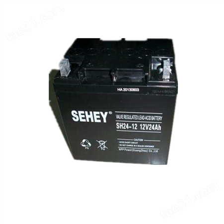 西力蓄电池SH24-12/12V24AH铅酸免维护蓄电池