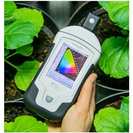 捷克 AquaPen AP110手持式藻类荧光测量仪 水体藻类植物叶绿素分析