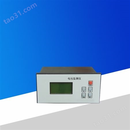 山东电压监测仪DT2-100V-G