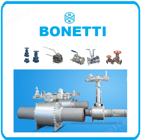 意大利BONETTI  ITT02347P液位计