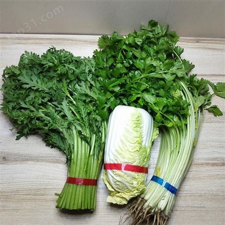 微型蔬菜扎捆机束带机 菜农捆青菜机 打包机扎捆机