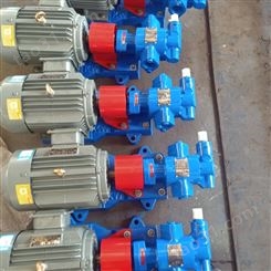 304不锈钢油泵 KCB不锈钢齿轮式输油泵 昌越 KCB18.3齿轮泵 生产加工