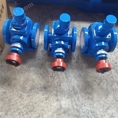 昌越泵业 YCB10-0.6圆弧泵 船用泵 齿轮油泵 单独泵头