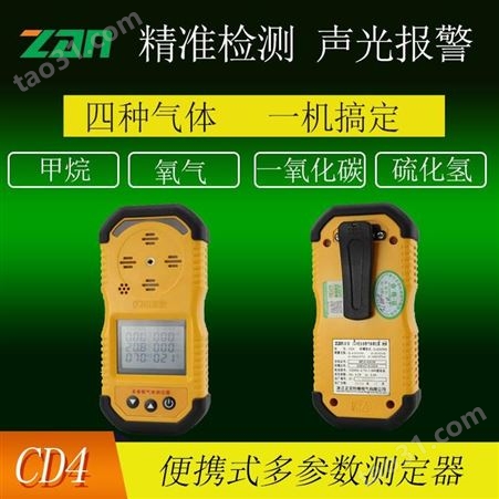 CD4 便携式多参数测定器 多参数气体监测设备 多参数含量监测设备
