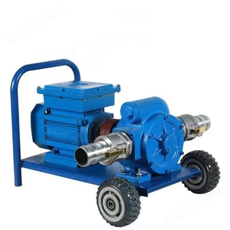 ZK-20园林绿化洒水车用泵 油罐车油泵 中铠油库卸油泵