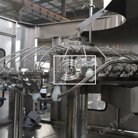 张家港灌装机 饮用水生产线 自动定量灌装机