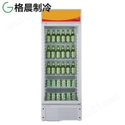 单双门立式饮料柜|透明玻璃冰箱|冷藏展示柜双门饮料冰柜