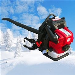 海盛品牌 耗能小吹雪机 4.3马力汽油吹风机 园林养护吹雪机