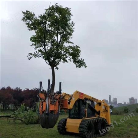 各种型号挖树机 可挖多种土球 苗木移植机械 40土球挖树机可以