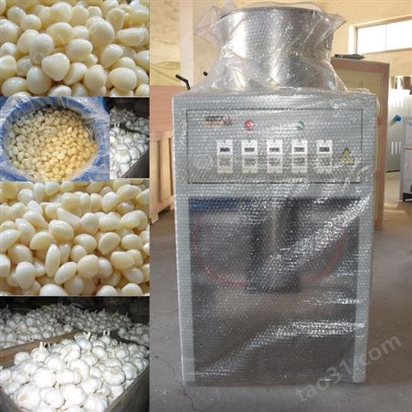 景鑫食品机械厂大蒜脱皮机 商用JR30不锈钢全自动气循环干式蒜米去皮机