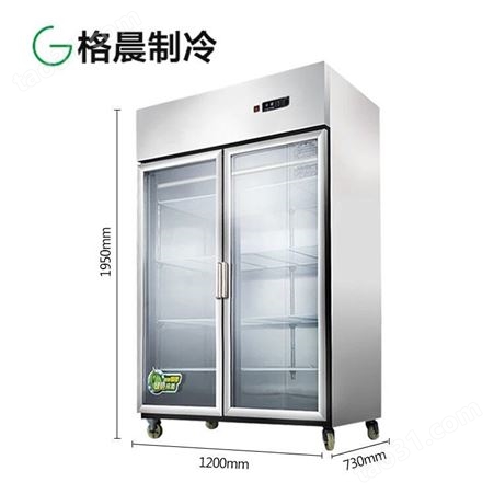 双门冷冻挂肉柜|不锈钢展示柜|立式冷柜