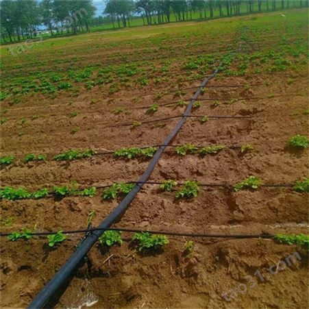 灌溉设备蔬菜大棚果树滴灌可用 内镶式滴灌管节水滴灌带 国泰浩德厂家供应