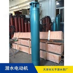 天津市矿用高压铸铁380V潜水电机