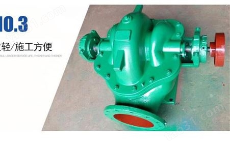 800S32A双吸泵IS系列 高泰泵双吸式水泵