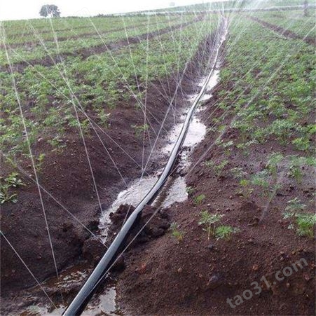 大田微喷带 果园灌溉设备 膜下滴灌 国泰浩德供应大棚微喷设备