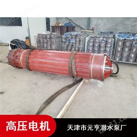 天津市农用高密封铸铁3000V高压潜水电机