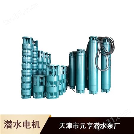 批量供应密封型节能环保铸铁立式潜水电机