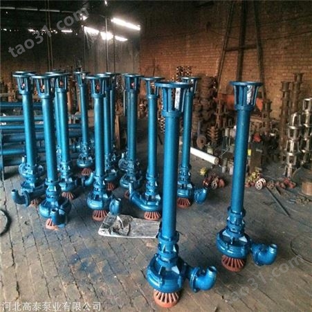 65YW252824长轴吊泵供应 高泰泵无堵塞排污泵