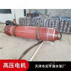 天津卧式1142系列6KV高压潜水电机厂家