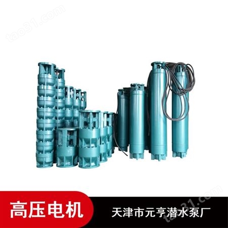 天津市农用高密封铸铁3000V高压潜水电机