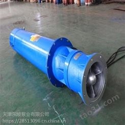卧式潜水泵-天津东坡卧式潜水泵