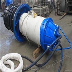 节能潜水轴流泵天津东坡泵业