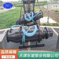 天津轴流泵 变频潜水轴流泵价格 河道用浮筒式潜水泵