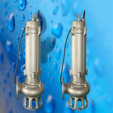 304材质不锈钢污水泵-不锈钢耦合装置