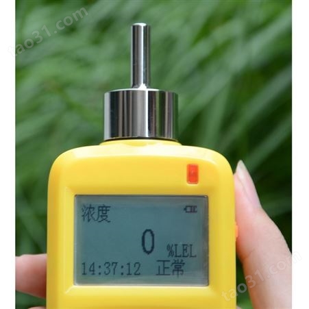 KP830内置泵单一气体检测仪便携式气体报警仪气体分析仪
