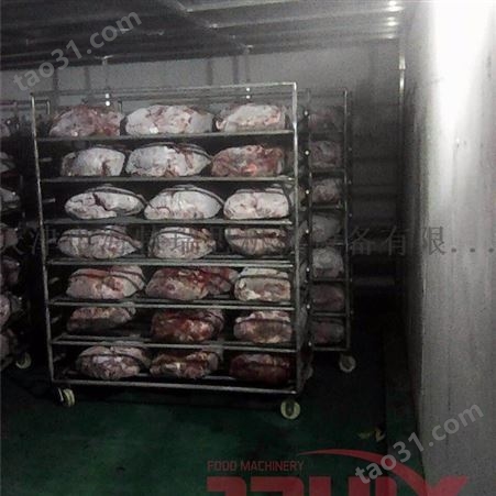 冻肉缓化机 厂家 进口冻猪肉解冻机 肉类缓化设备 冻肉解冻机 trx 腾瑞翔 专业生产