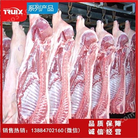 冻肉缓化机 厂家 进口冻猪肉解冻机 肉类缓化设备 冻肉解冻机 trx 腾瑞翔 专业生产