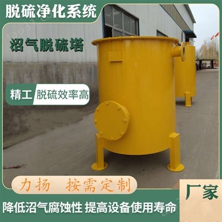 小型沼气脱硫罐 干式脱硫原理 污泥净化处理设备 工艺流程