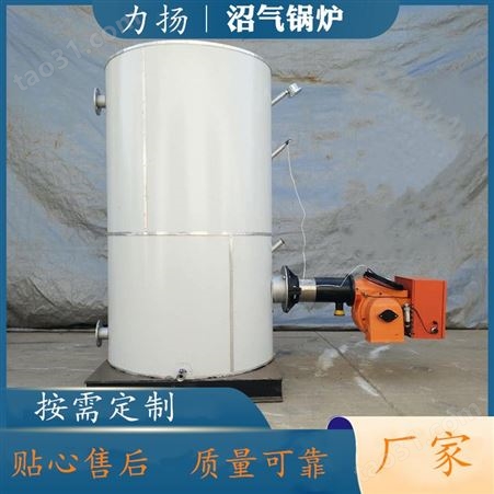 沼气热水锅炉 自动化运行常压锅炉 力扬沼气工程配套设备