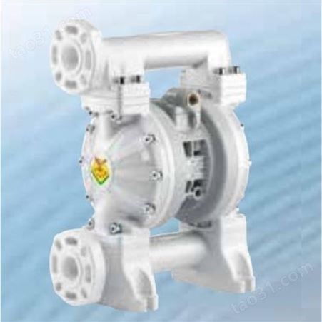 意大利RAASM聚丙烯气动隔膜泵耐腐蚀泵适用于腐蚀性液体