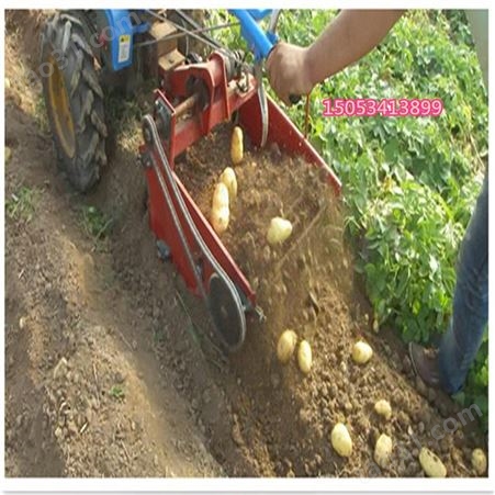 小型土豆地瓜联合收获机 配10-18马力手扶拖拉机ZP