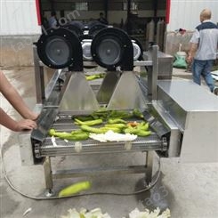 食品翻转风干机 蔬菜瓜果除水流水线 辣椒清洗风干沥水机