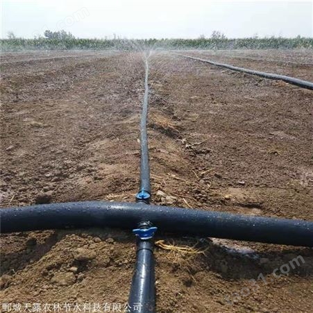 大棚花卉灌溉设备 温室花卉微喷管智能灌溉