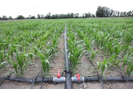玉米滴灌厂家设备铺设一亩多少钱