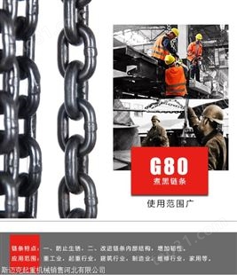 G80起重链条 手拉葫芦型号齐全 起重链条厂家现货