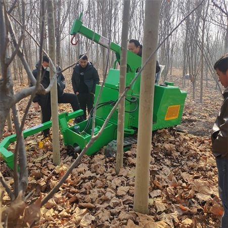 市政工程用起树移栽机 履带一体式滑移式挖树机 起树机大功率农用