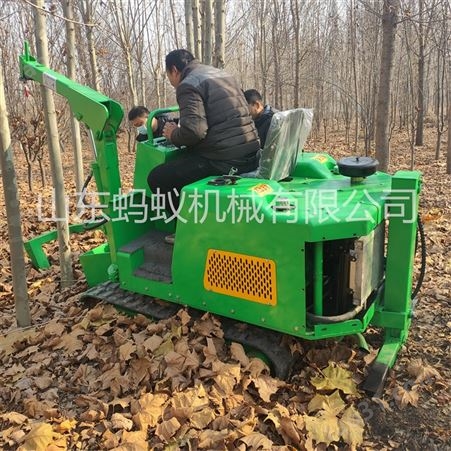 出售园林座驾式挖树机 园林带土球挖树机 步履式挖树机